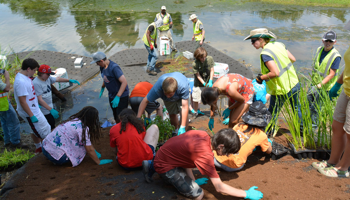 Image of volunteers restoring plants Masonville Cove