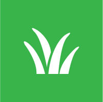 Icon of a patch of grass-like vegitation